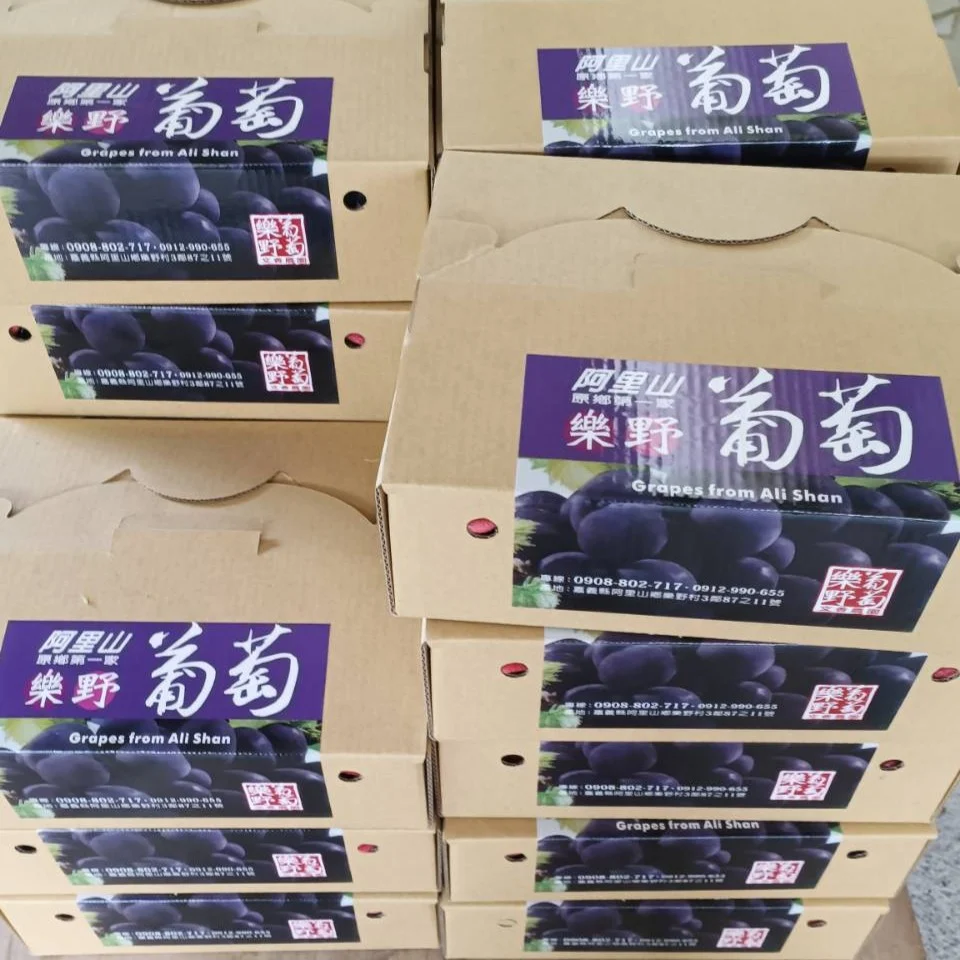樂野葡萄 2