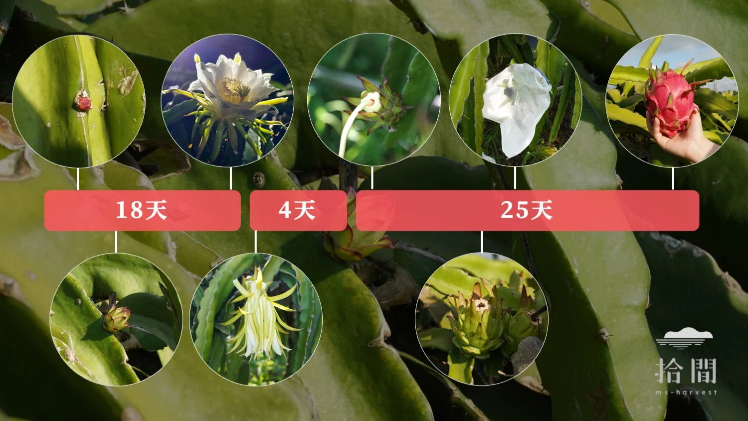 簡報1