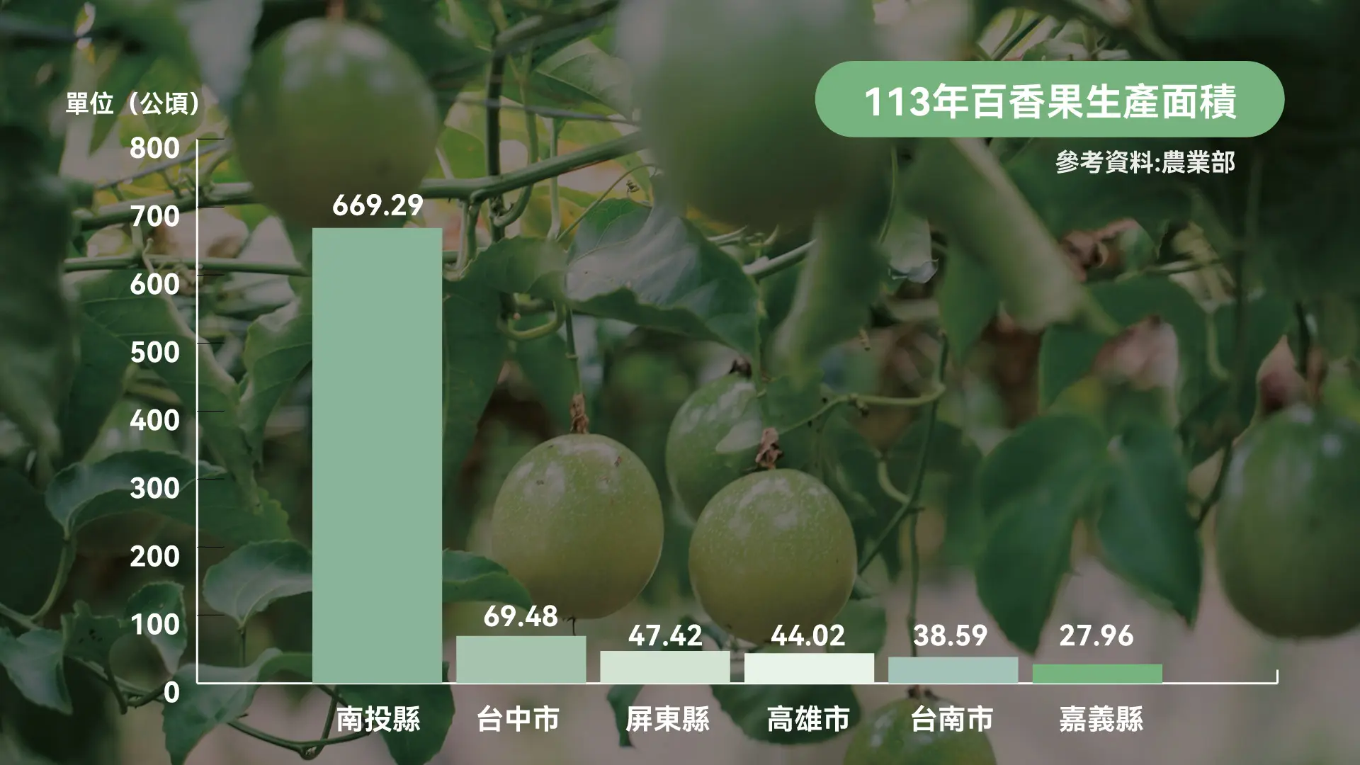 113百香果面積統計