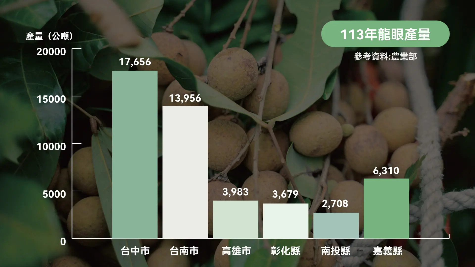 龍眼產量統計