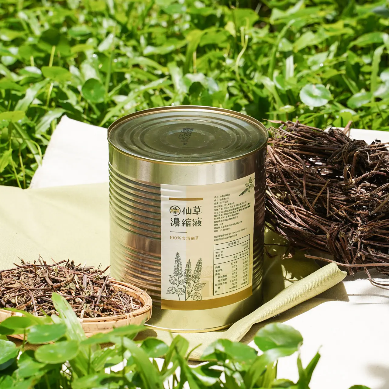 仙草濃縮液 1
