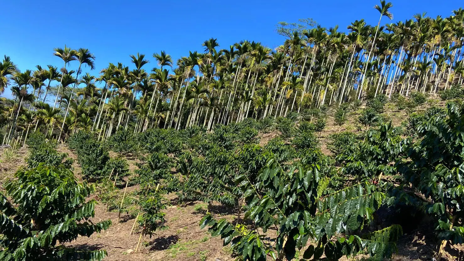 Line Oa Chat 260215 103445