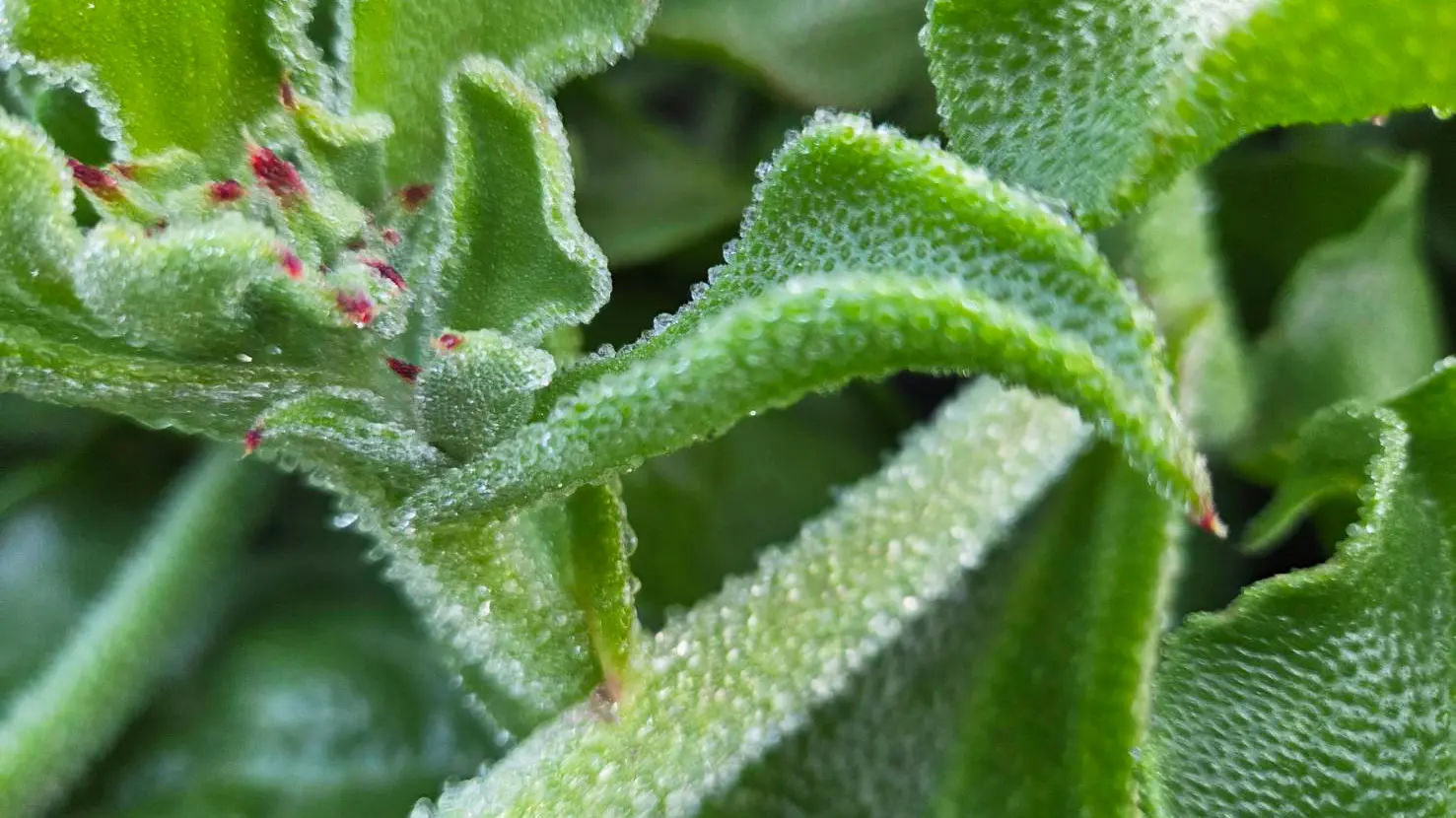 Line Oa Chat 260220 104123