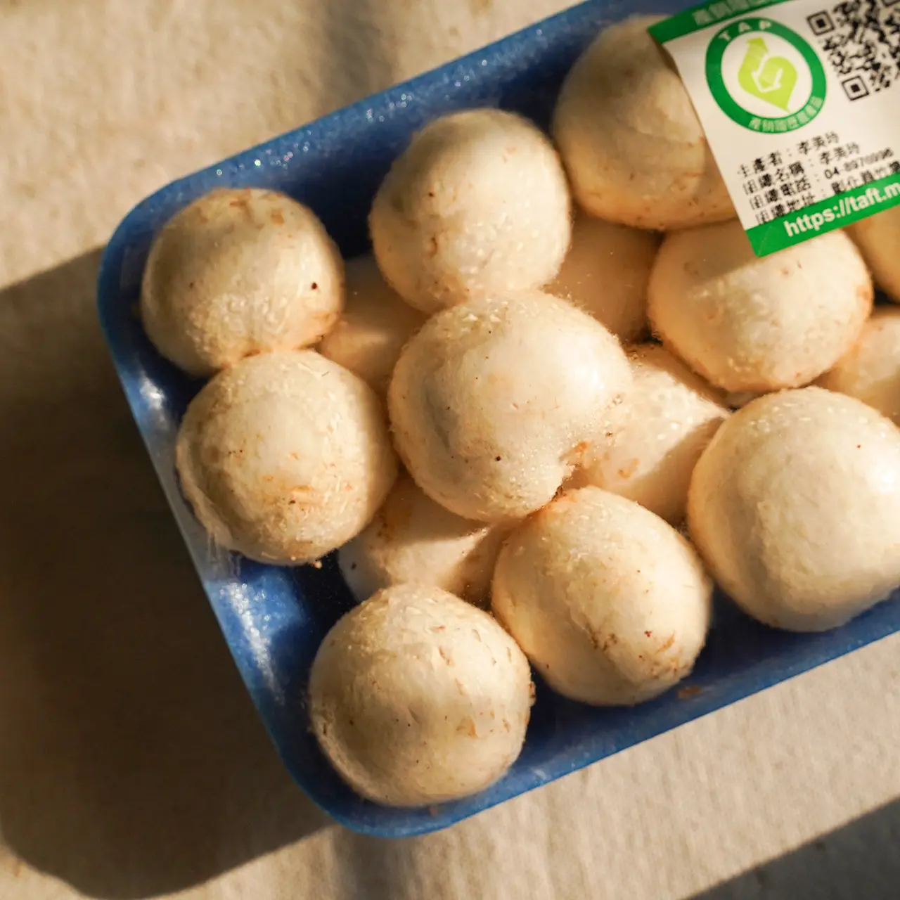 Dsc09345改 Dsc09345改