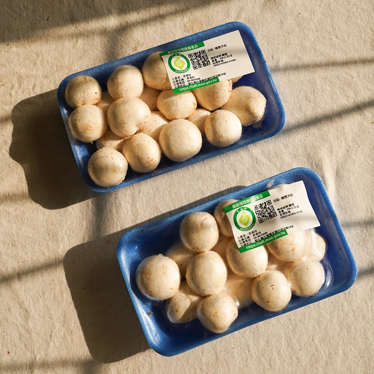 Dsc09344改 Dsc09344改