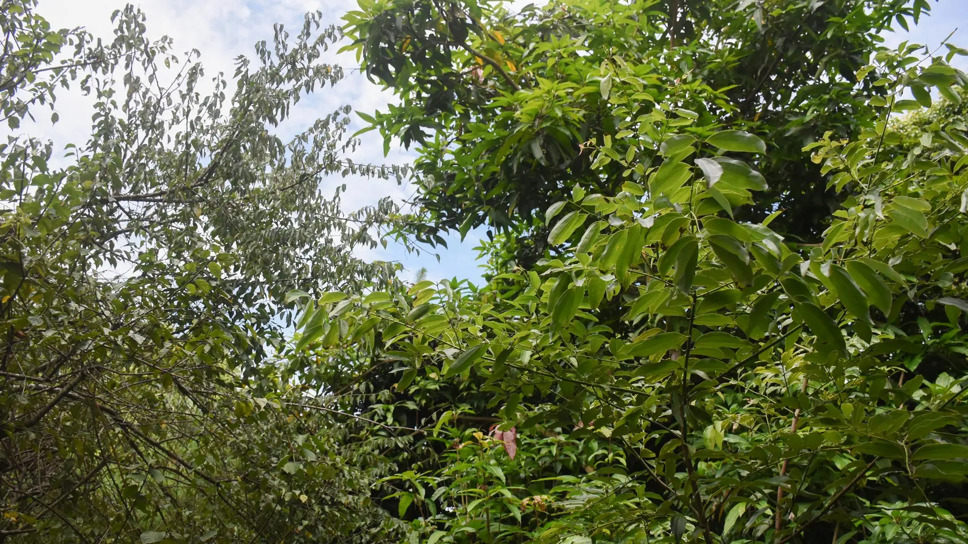 Dsc 0667