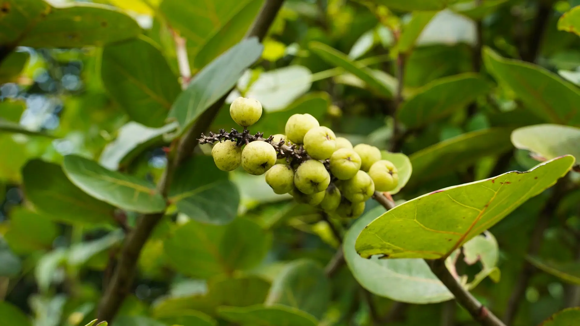 Dsc01150