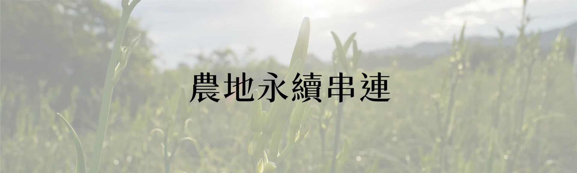 文章閱讀