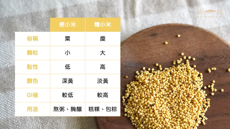 簡報2
